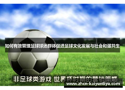 如何有效管理足球球迷群体促进足球文化发展与社会和谐共生
