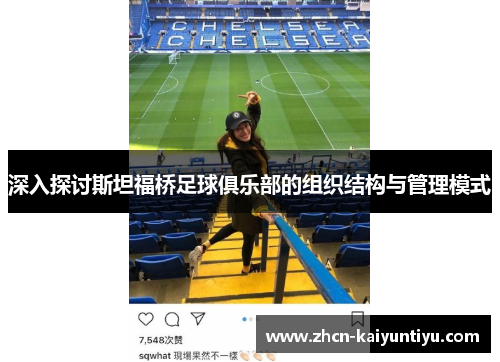 深入探讨斯坦福桥足球俱乐部的组织结构与管理模式